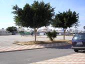 Local Area